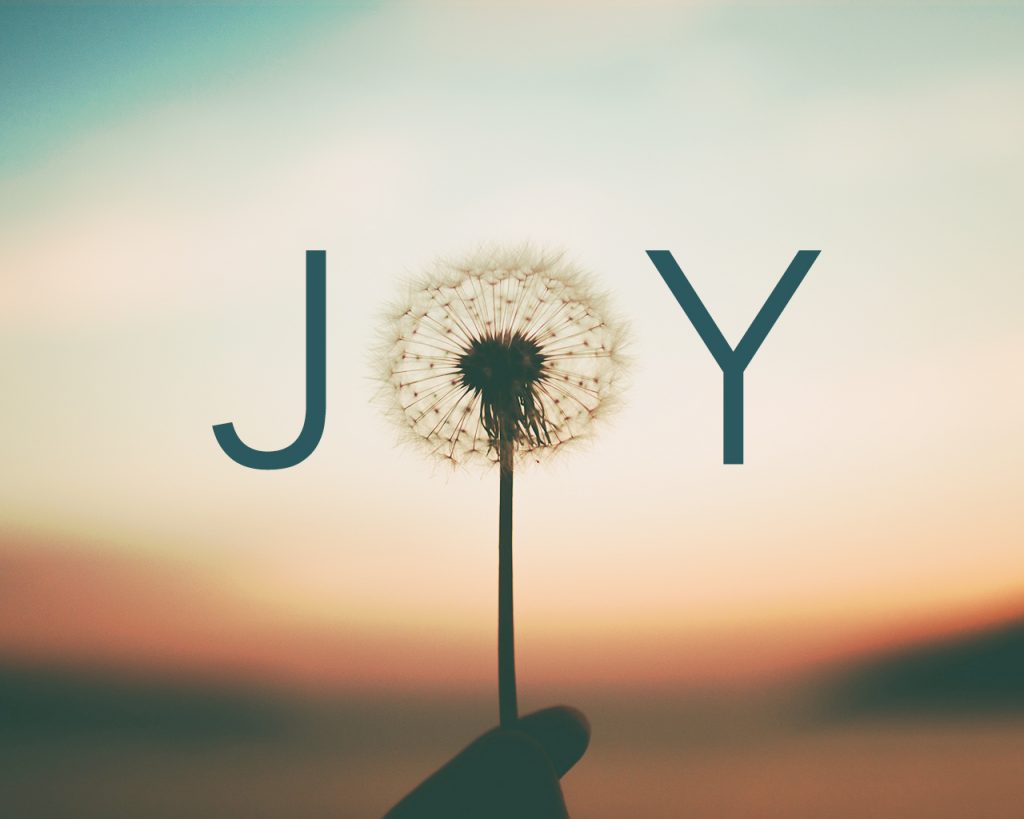 Happiness vs Joy